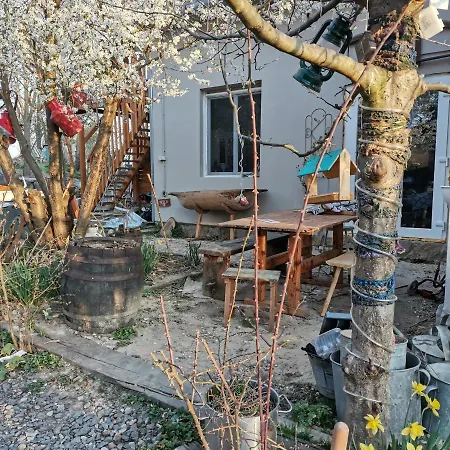 Forest View Studio Apartment