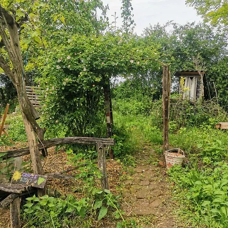 Forest View Studio * Kaposhomok