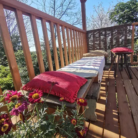 Forest View Studio Apartment