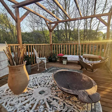 Forest View Studio
